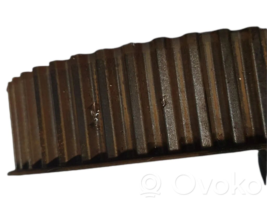 Land Rover Range Rover Sport L320 Puleggia dell’albero a camme/VANOS 