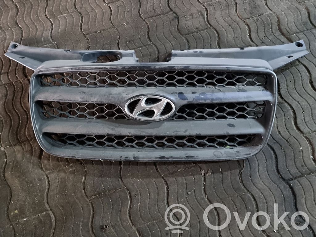 Hyundai Santa Fe Grilă radiator față 