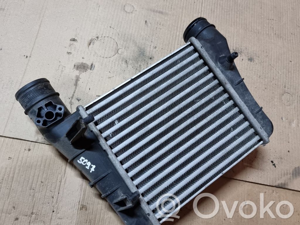 Seat Exeo (3R) Radiator intercooler 