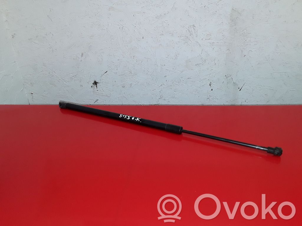 Opel Antara Amortizor hayon 