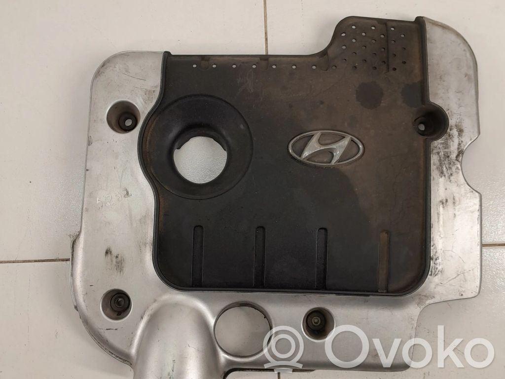 Hyundai Santa Fe Copri motore (rivestimento)