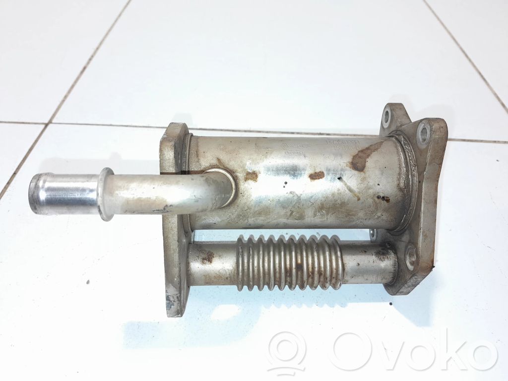 Dacia Dokker Refrigerador de la válvula EGR 