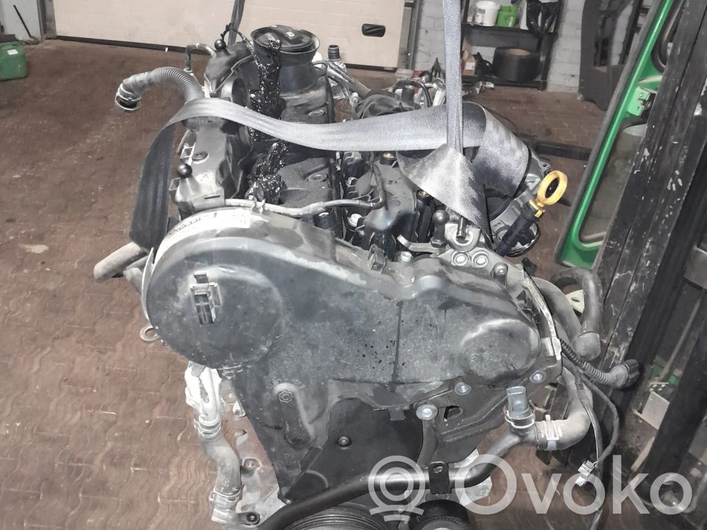 Motor   CFF