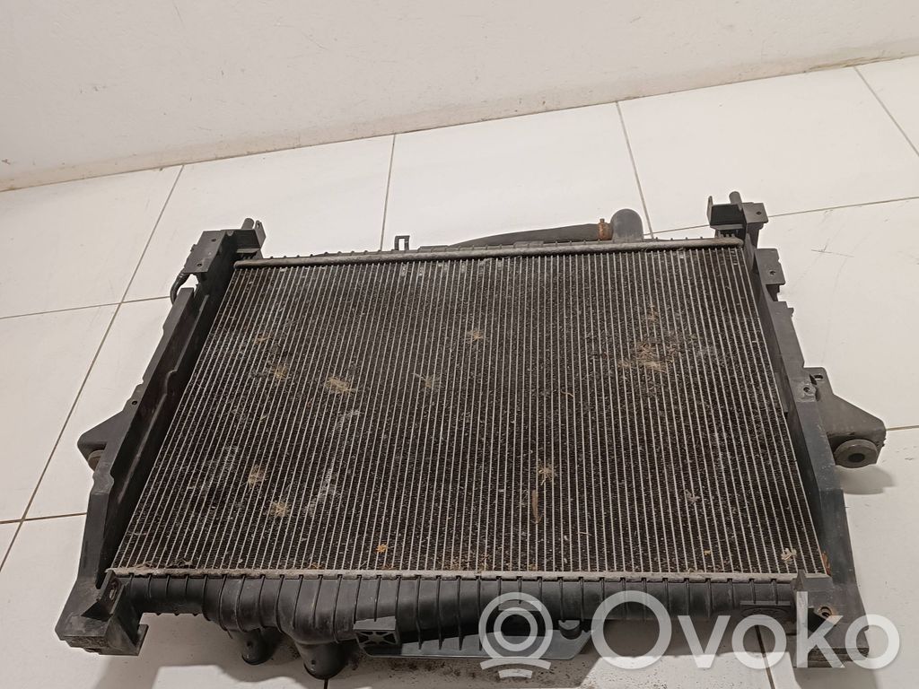 Land Rover Range Rover Sport L320 Radiatore di raffreddamento 
