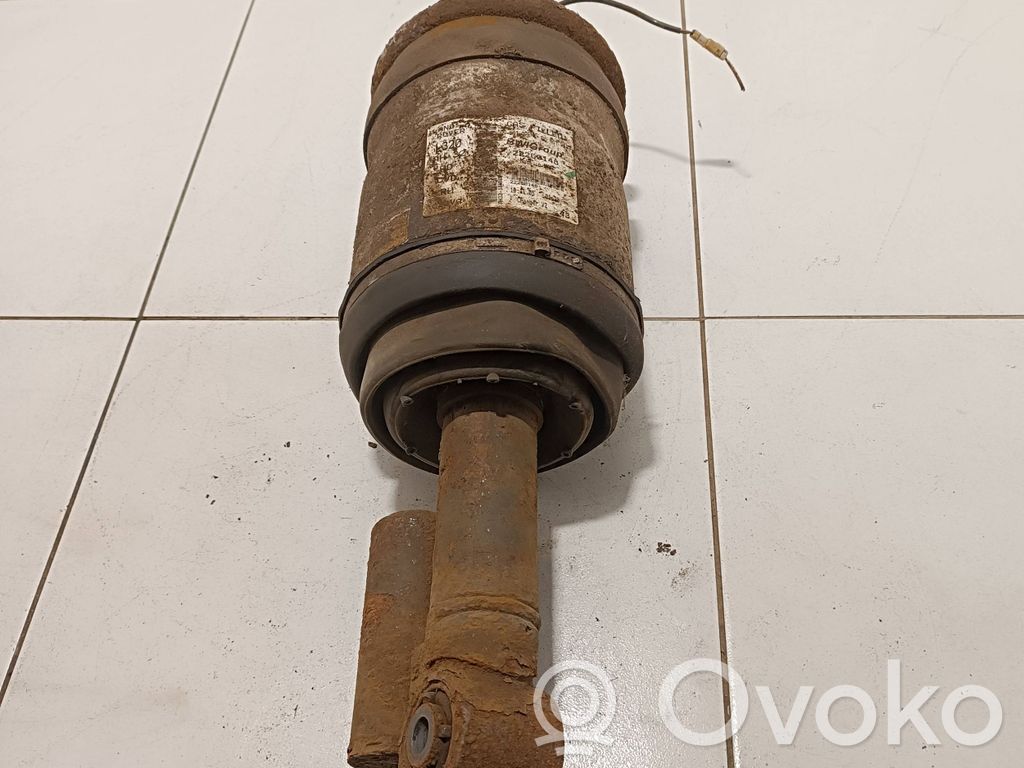 Land Rover Range Rover Sport L320 Ammortizzatore/sospensione pneumatica 