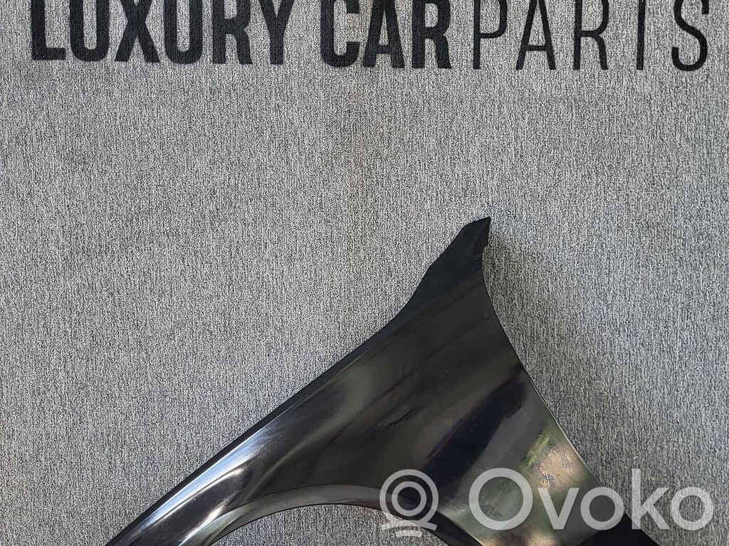Mercedes-Benz S W223 Fender 