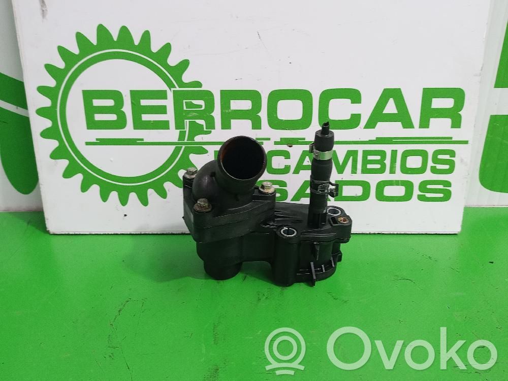 Termostatas   2S4Q8594