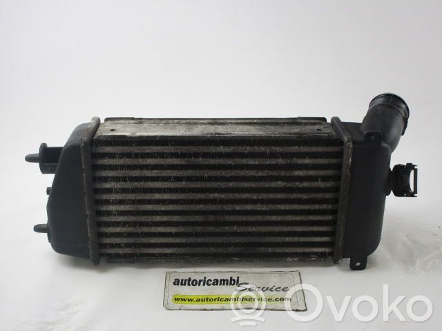 Interkūlerio radiatorius   9638758980