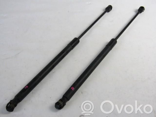 Audi A6 S6 C6 4F Ammortizzatore portellone anteriore/cofano 