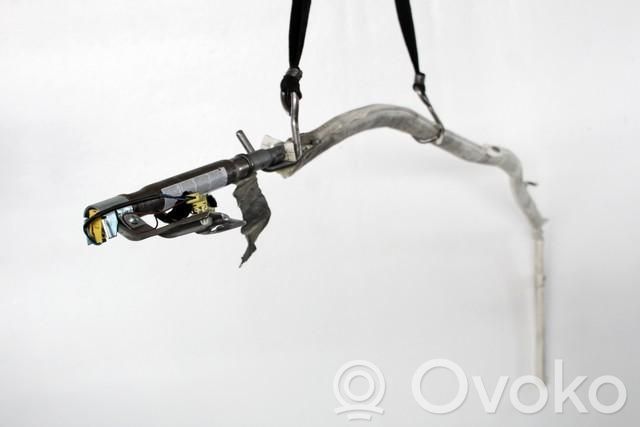 Airbag del techo   4E0880741