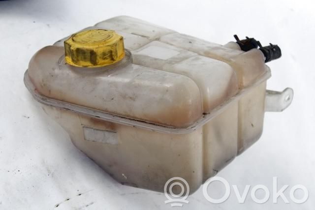 Ford Transit -  Tourneo Connect Serbatoio di compensazione del liquido refrigerante/vaschetta 