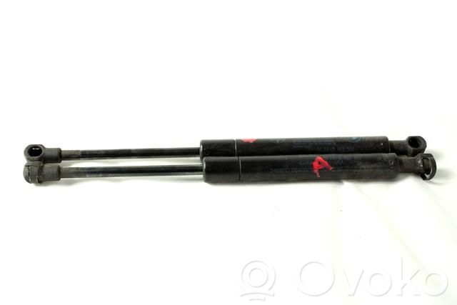Amortizor capotă motor   51238402551