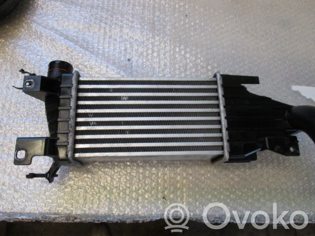 Radiatore intercooler   13128926