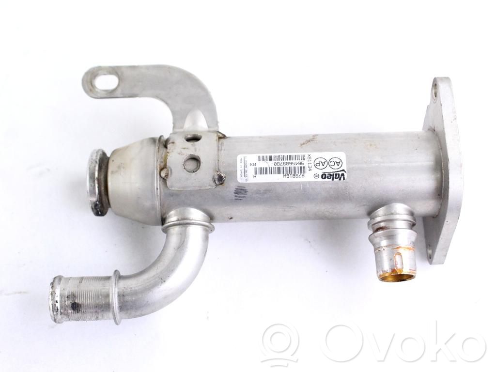 Volvo V50 Valvola di raffreddamento EGR
