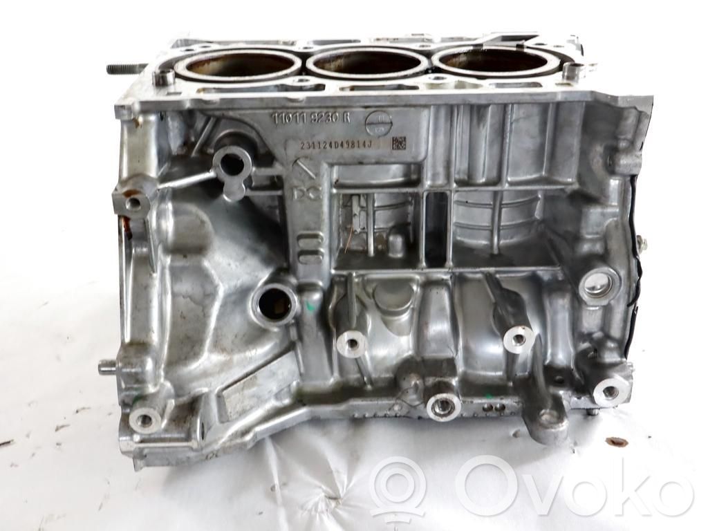 Bloque de motor   110119230R