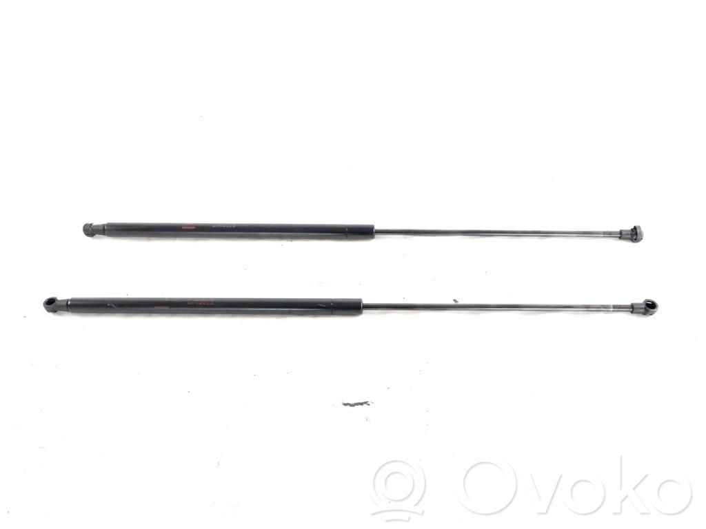 Nissan Juke I F15 Vérin, capot-moteur 