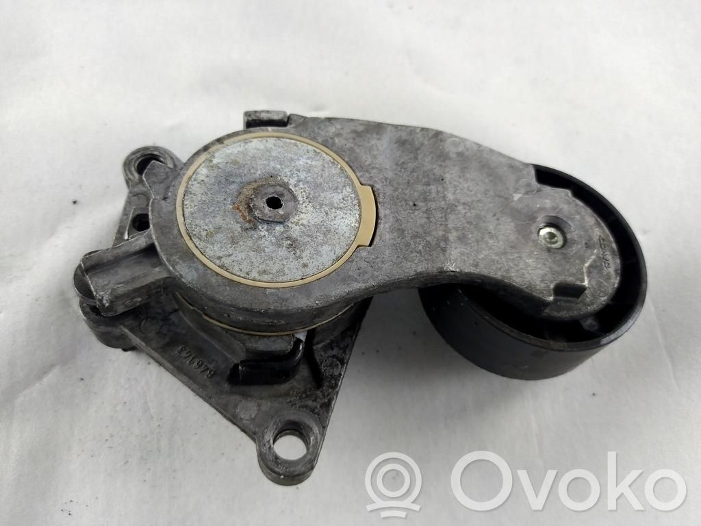 Citroen C3 Picasso Tendicinghia generatore/alternatore 