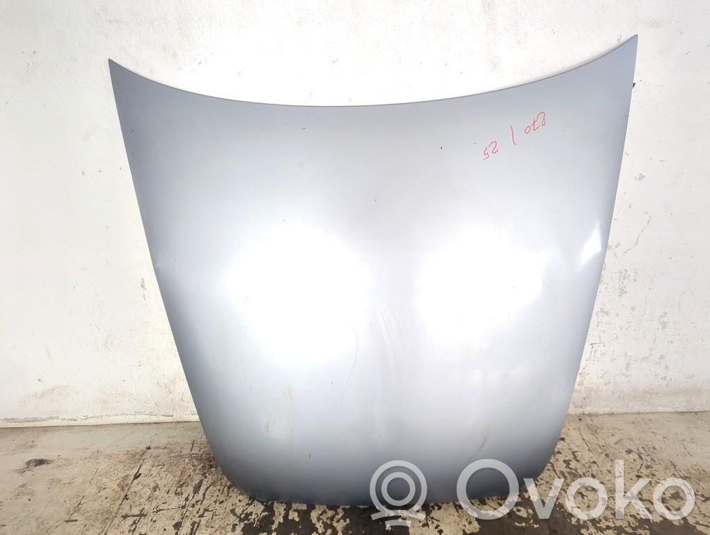 Capó/tapa del motor   4F0823029F