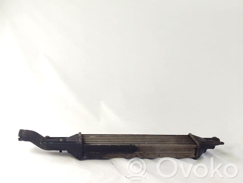 Fiat Grande Punto Radiator intercooler 