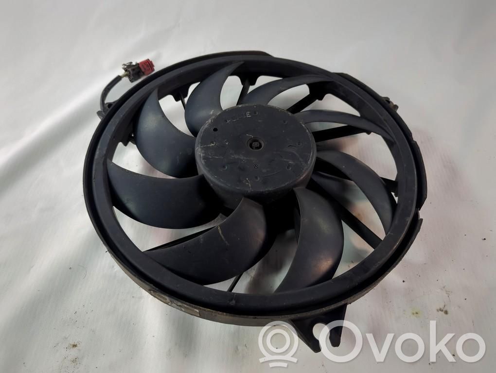 Peugeot 206+ Ventilatore di raffreddamento elettrico del radiatore 