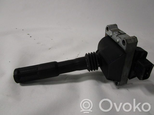 Bobina de encendido de alto voltaje   0221504456
