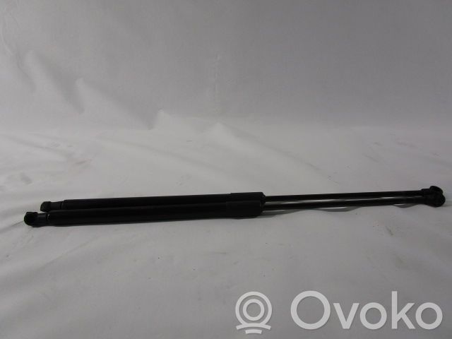 Nissan Qashqai Ammortizzatore portellone anteriore/cofano 