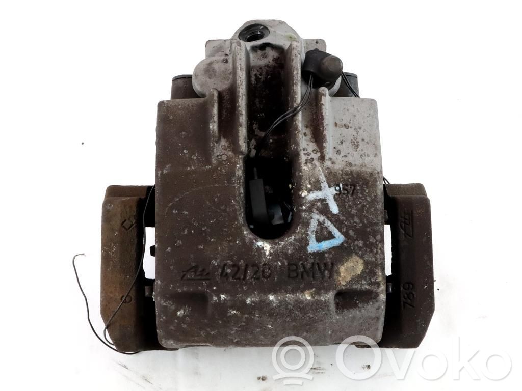 Takajarrusatula   34216765910