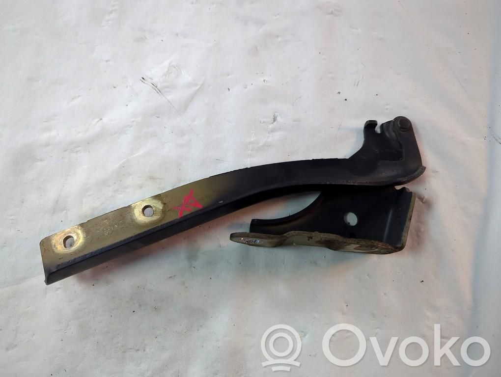 Fiat Punto Evo Cerniere del vano motore/cofano 