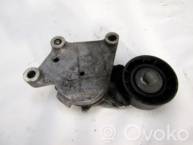 Peugeot 5008 Tendicinghia generatore/alternatore 