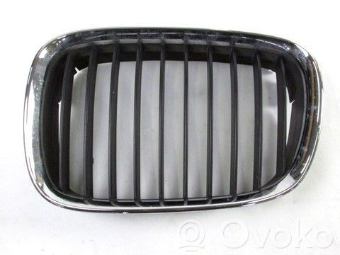 Renault Megane II Priešrūkinio žibinto apdaila/ grotelės 