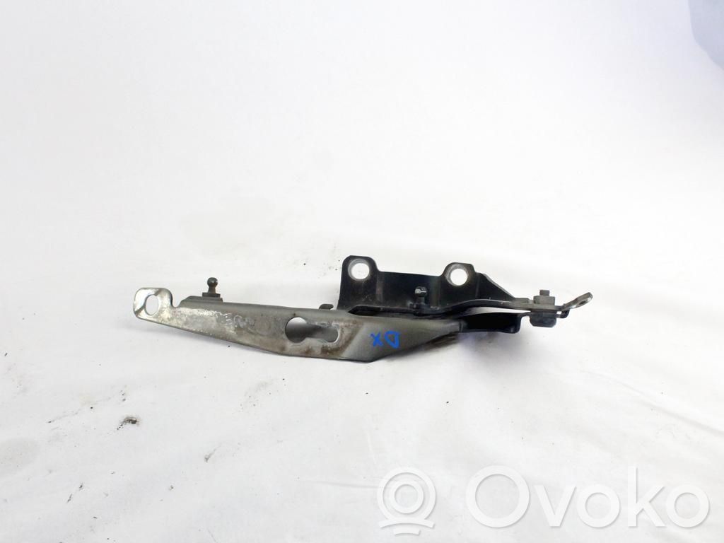 Volvo V70 Cerniere del vano motore/cofano