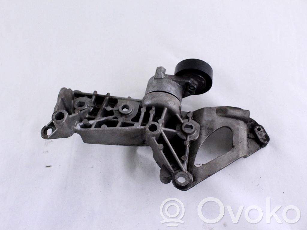 Renault Megane II Generator/alternator belt tensioner 