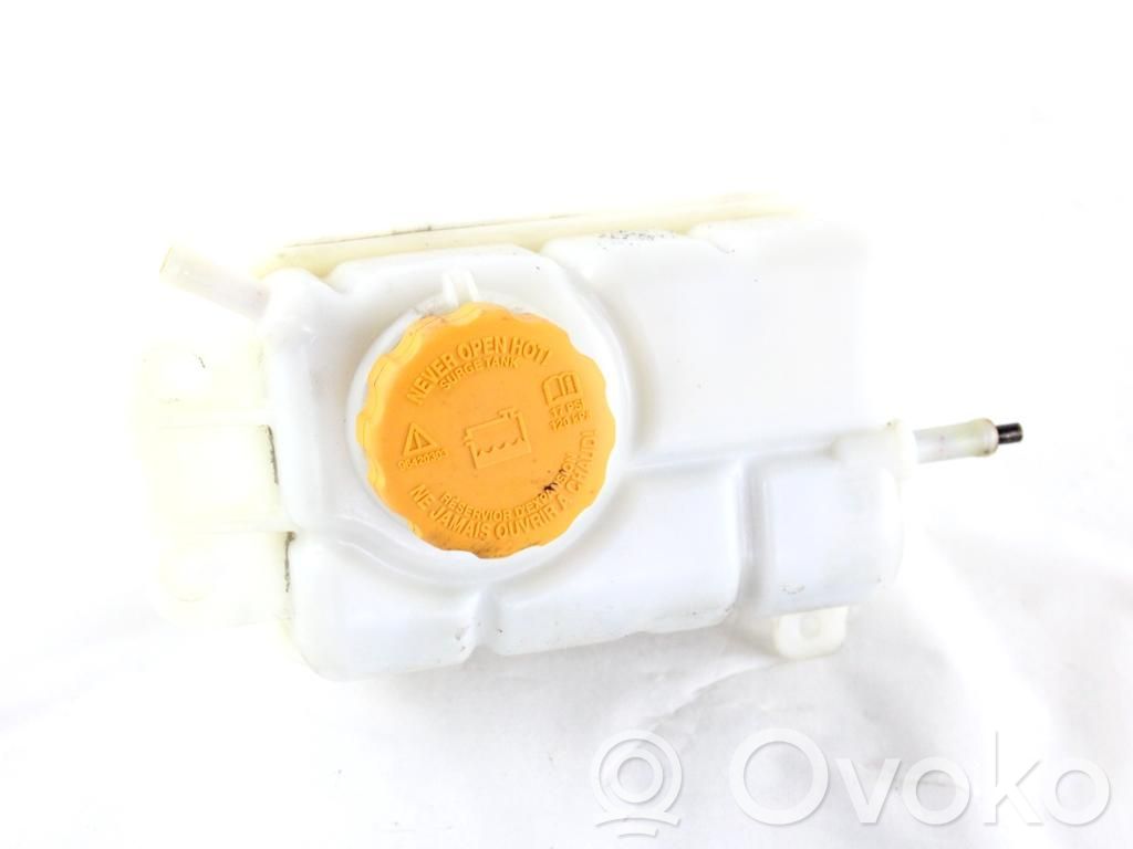 Chevrolet Aveo Serbatoio di compensazione del liquido refrigerante/vaschetta