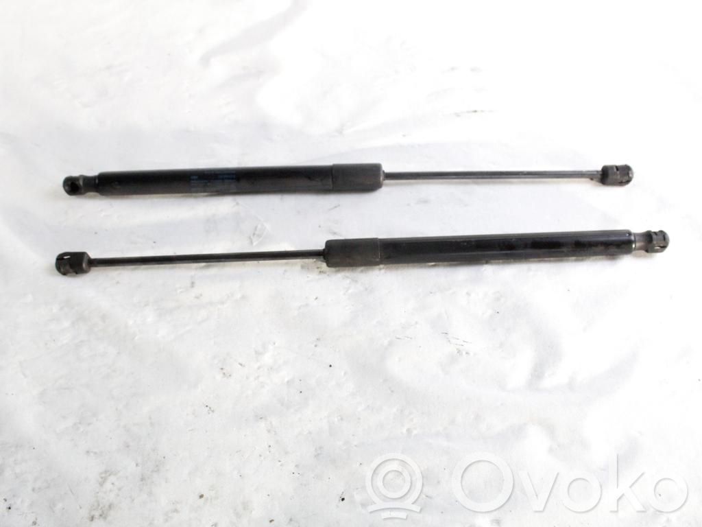 Audi Q3 8U Amortizor capotă motor 