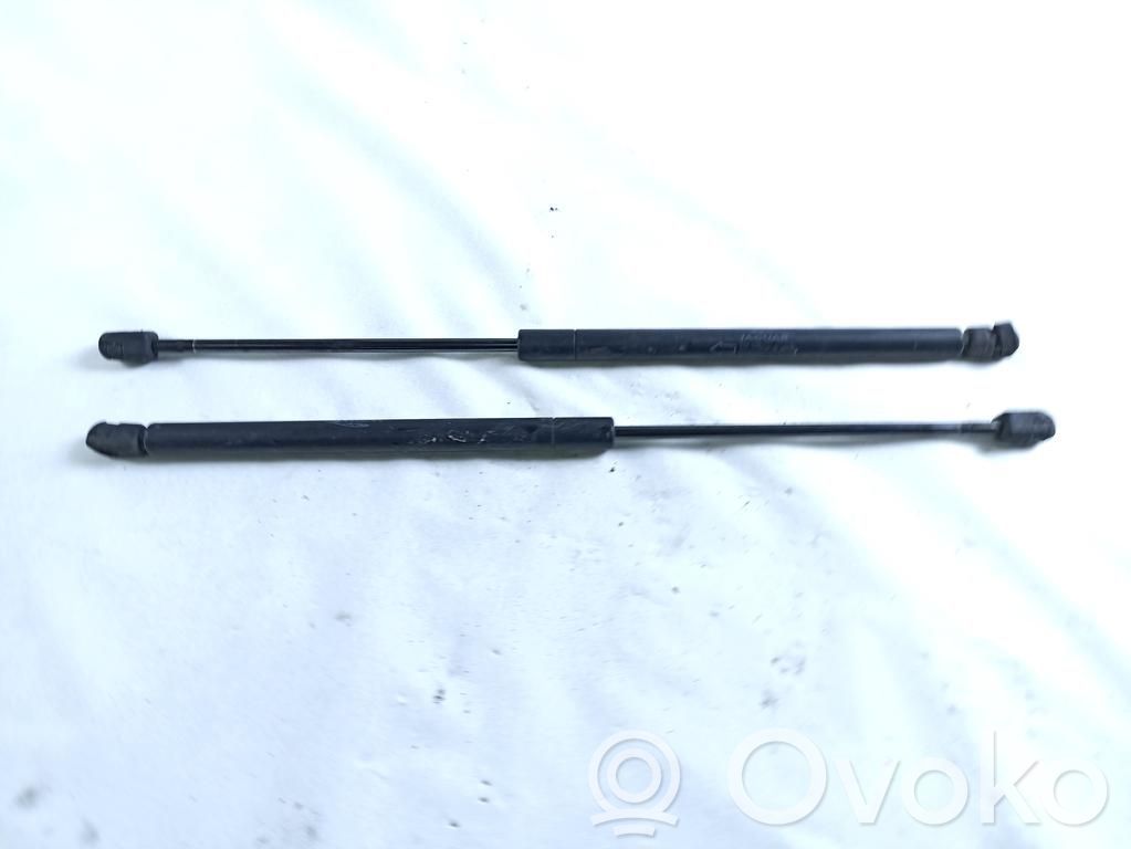 Jaguar S-Type Ammortizzatore portellone anteriore/cofano 
