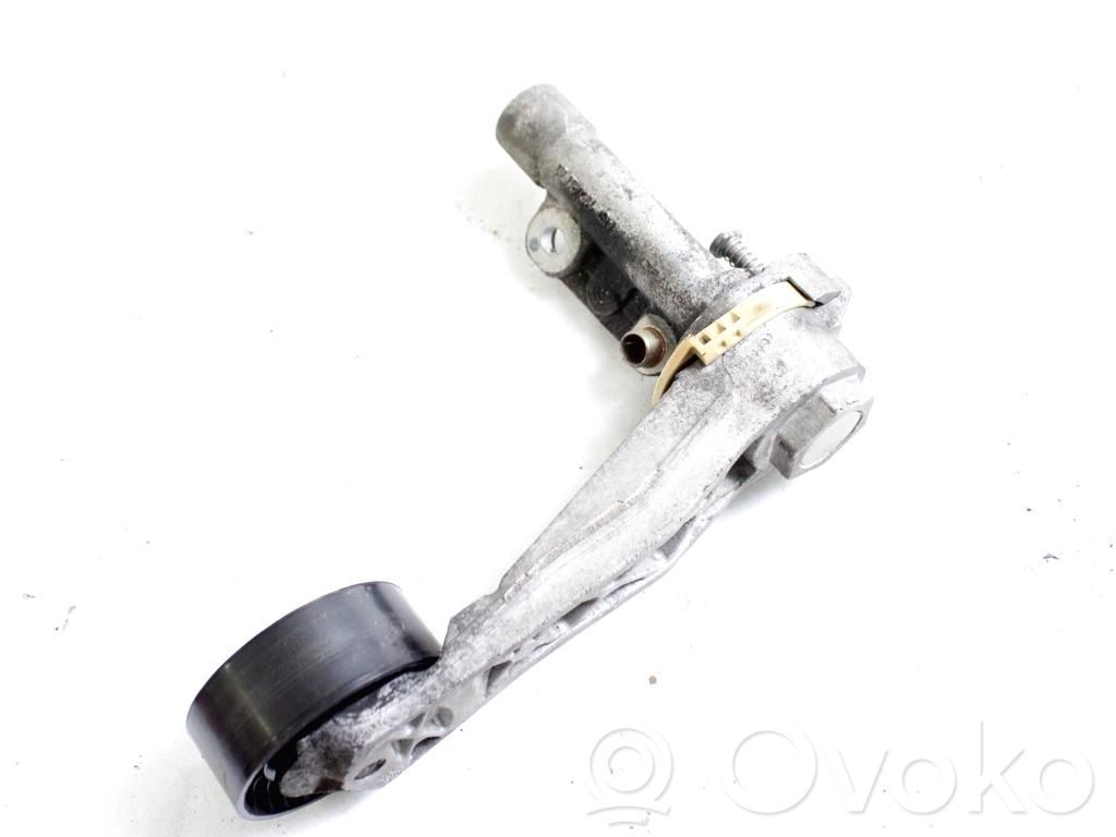 Peugeot 207 Tendicinghia generatore/alternatore 