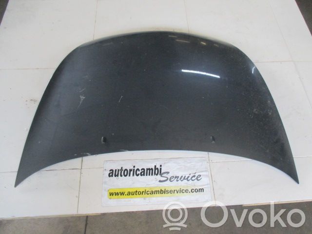 Vano motore/cofano   1087913