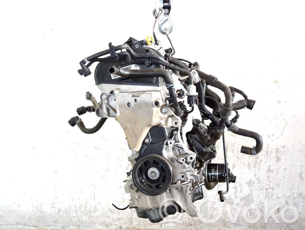 Skoda Octavia Mk3 (5E) Motor 