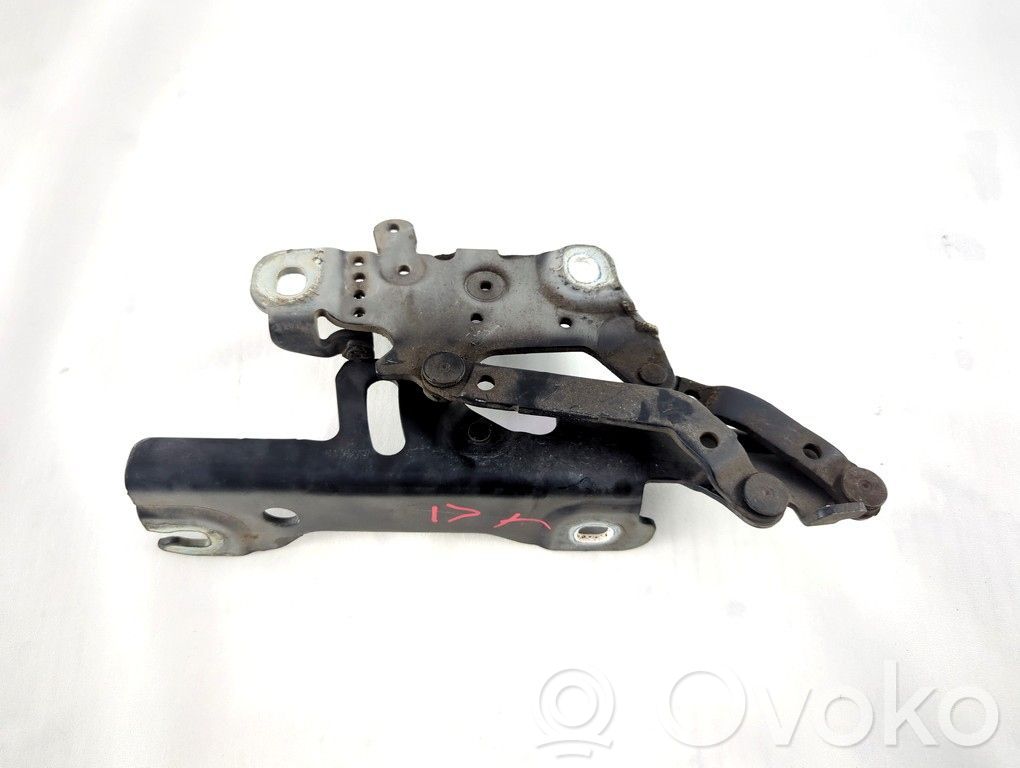 BMW 3 F30 F35 F31 Cerniere del vano motore/cofano