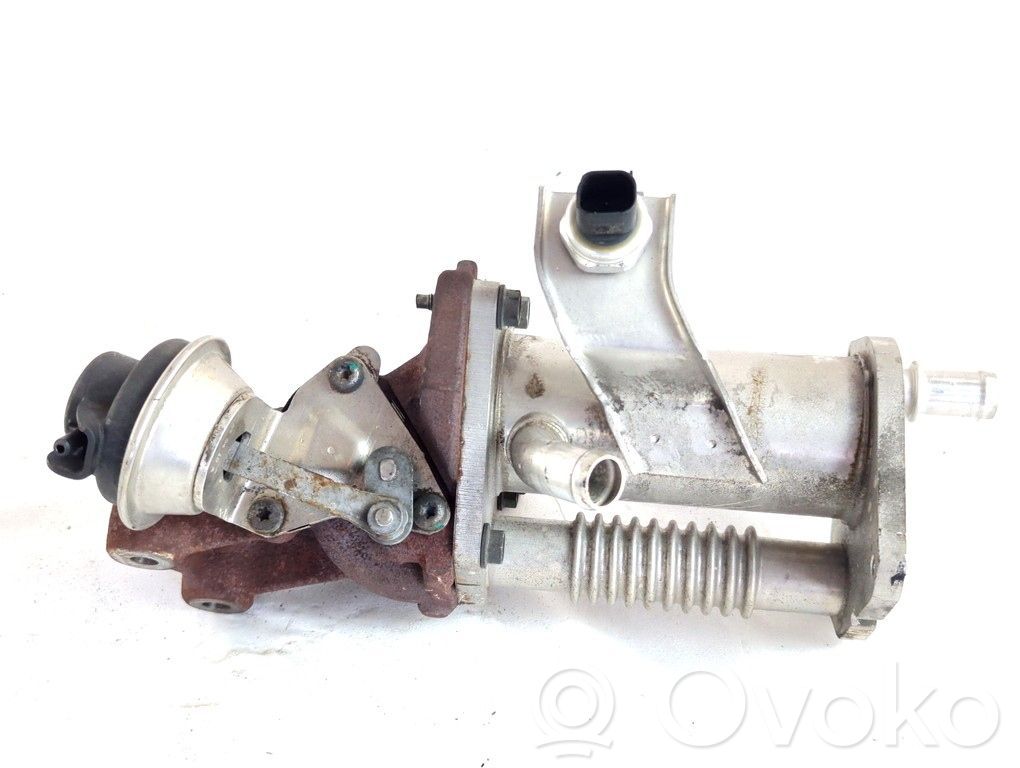 Renault Megane III Chłodnica spalin EGR 