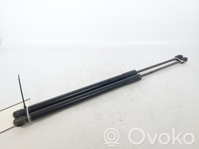 Ford Focus Rear window strut damper 