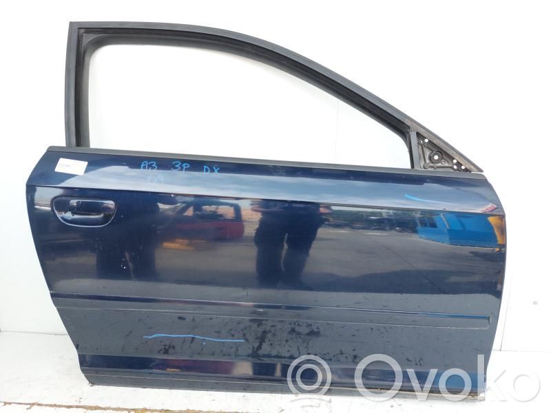 Audi A3 S3 8P Front door 