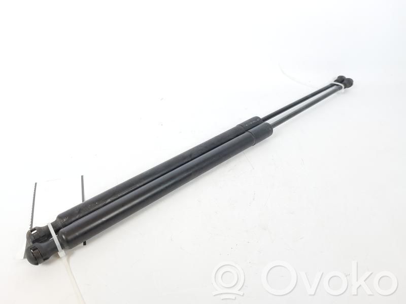 Citroen C3 Picasso Rear window strut damper 