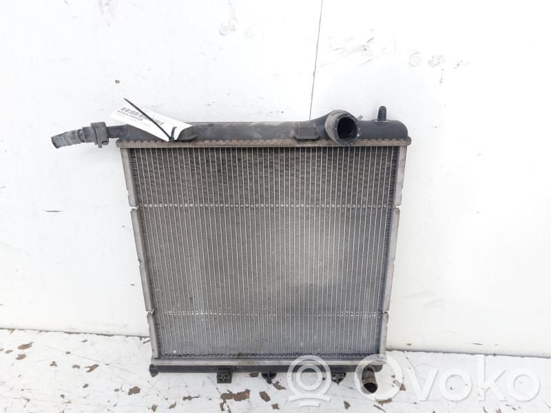 Citroen C3 Heater blower radiator 