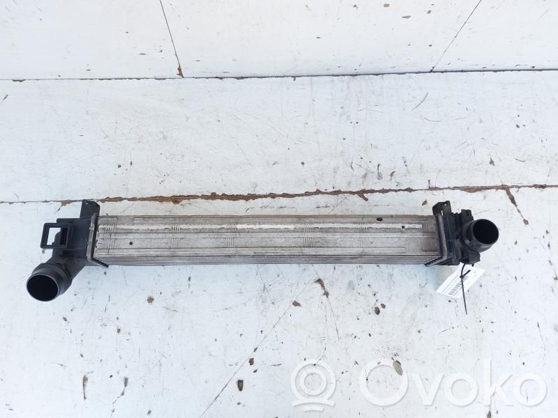Renault Megane III Intercooler radiator 