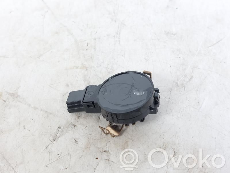 Radion antenni   285352976R,285352976R