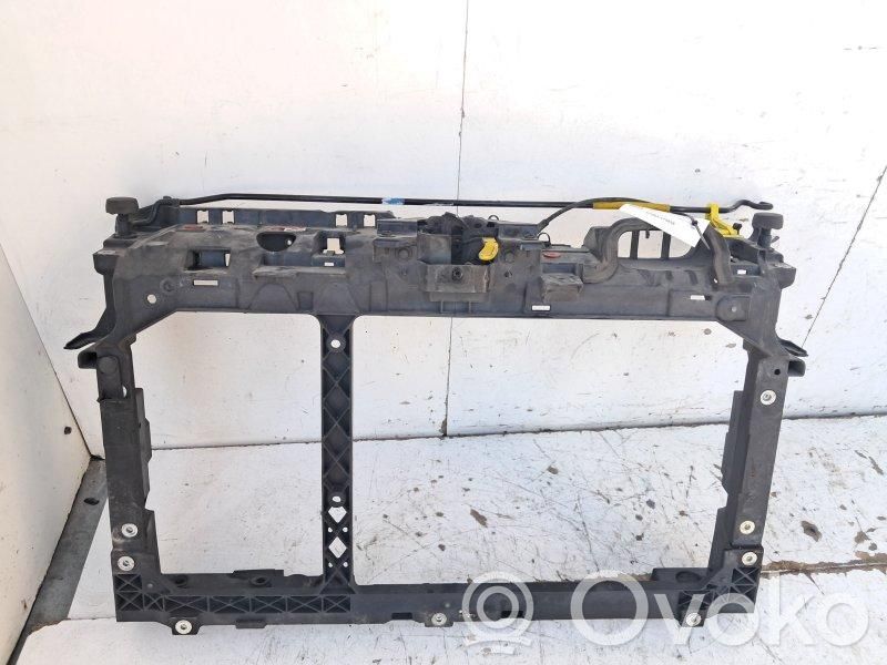 Ford Fiesta Radiatorių panelė 