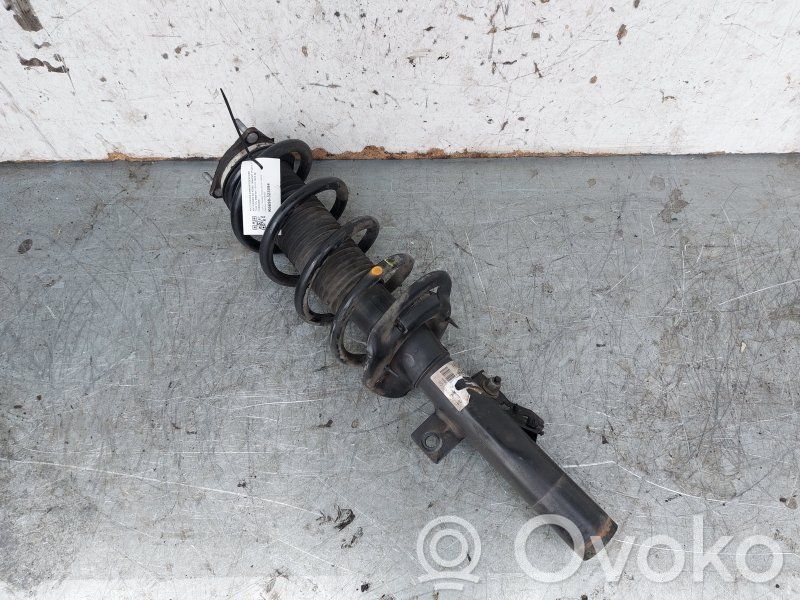 Stoßdämpfer vorne   2367448,KK3118045DB