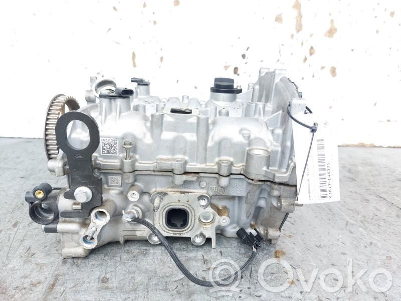 Ford Fiesta Chiulasă motor 