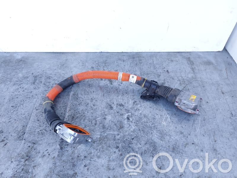 BMW X1 F48 F49 Cablaggio per l’installazione del motore 